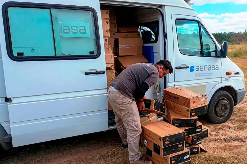 Decomisaron tres toneladas de embutidos transportados en forma irregular en Ruta Nacional 14