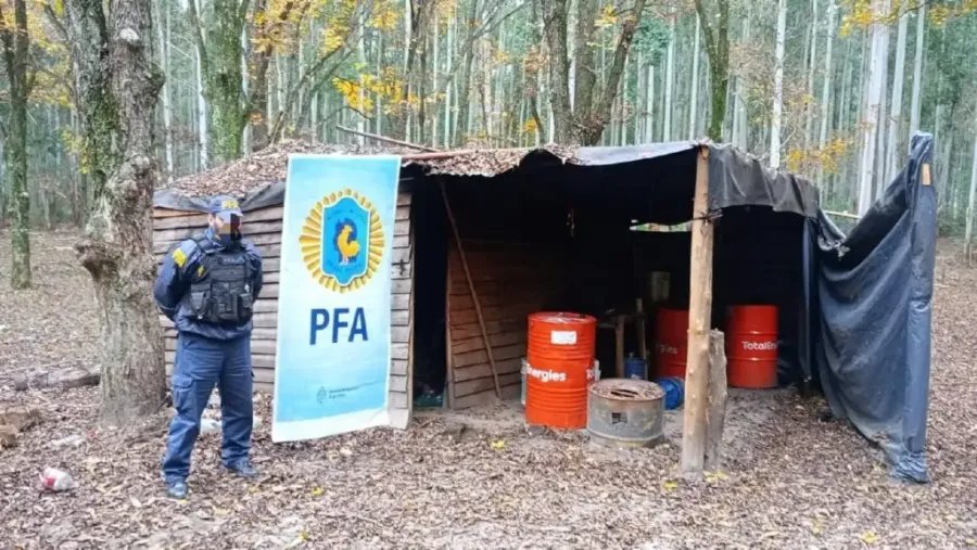 Allanaron un campo por trata de personas y condiciones lamentables de explotación laboral