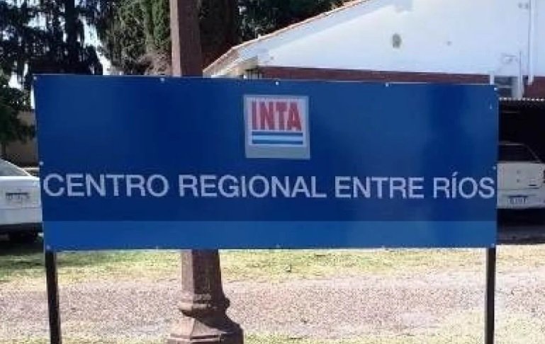 Alertan que el 15% del personal de INTA Entre Ríos se fue del organismo