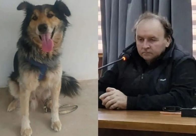 Condenan a ocho meses de prisión condicional a un hombre que ahorcó a su perro.