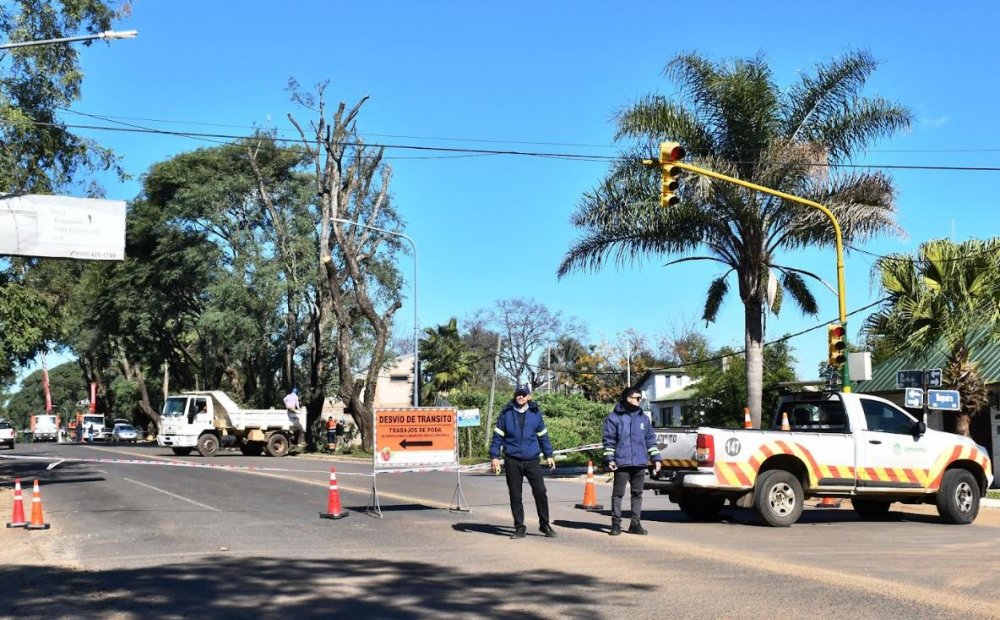 Cortes de tránsito por poda de arboles sobre Av. Eva Perón 