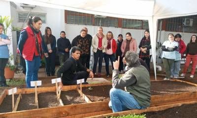 Más familias acceden al programa de huertas agroecológicas integradas