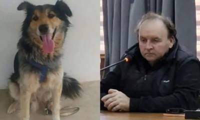 Condenan a ocho meses de prisión condicional a un hombre que ahorcó a su perro.