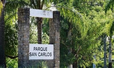 Trabajos de mantenimiento y recuperación ambiental en el Parque San Carlos