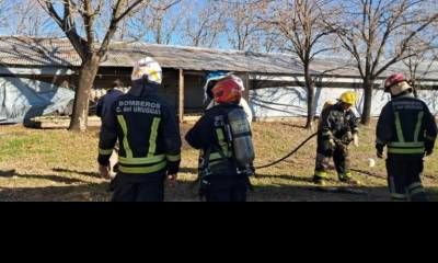 Un principio de incendio afectó una granja avícola sobre la Ruta 14
