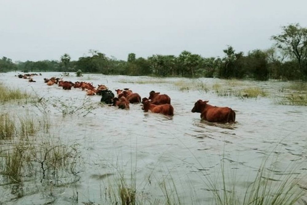 La provincia coordina con municipios protocolos preventivos ante el fenómeno de El Niño