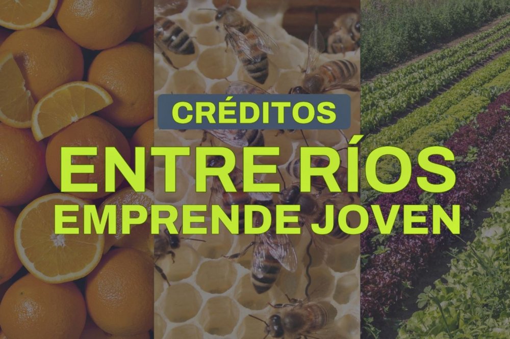 Abrió la convocatoria del programa Entre Ríos Emprende Joven