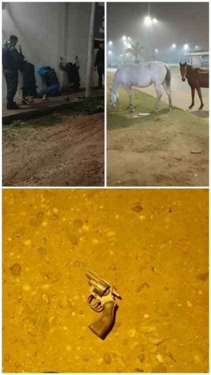 Detenido por tenencia de arma y secuestro de caballos