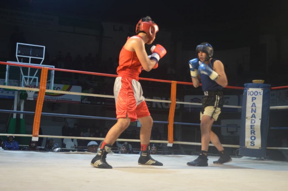Nueva velada de boxeo amateur en el Gigante Verde