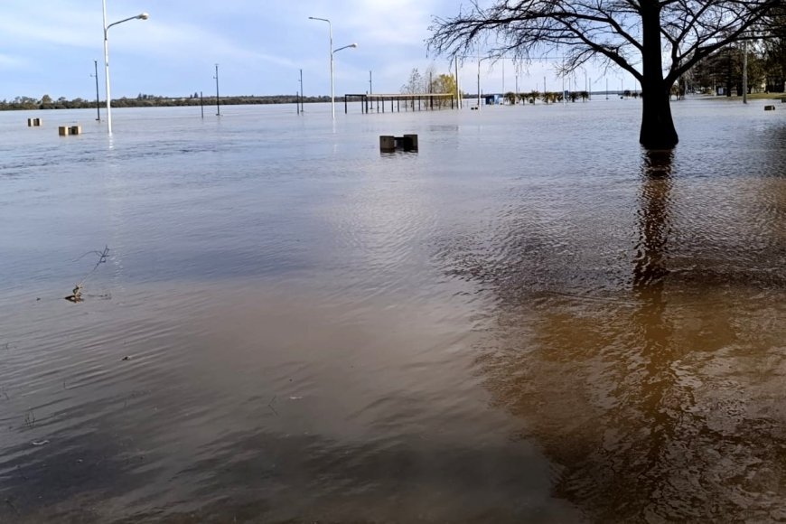 CTM anunció una nueva marca máxima para el río Uruguay
