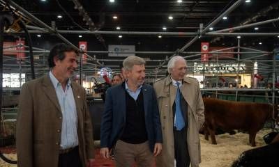 Frigerio lanzó un seguro multirriesgo para proteger la producción de maíz