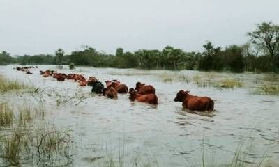 La provincia coordina con municipios protocolos preventivos ante el fenómeno de El Niño