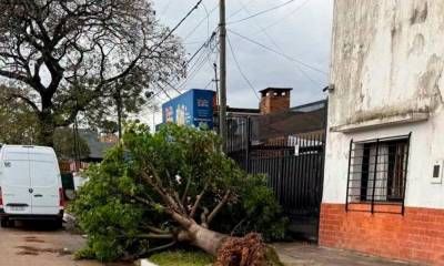 La Provincia asistió a La Criolla y Concordia tras el fuerte temporal