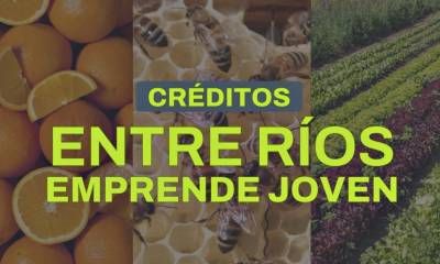 Abrió la convocatoria del programa Entre Ríos Emprende Joven