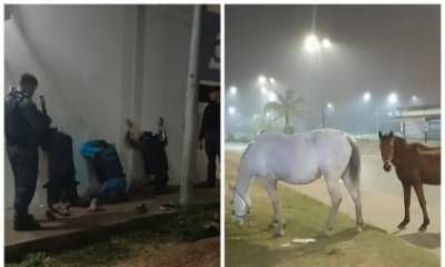 Detenido por tenencia de arma y secuestro de caballos