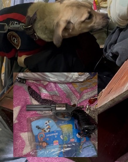 Simuló una amenaza con arma de fuego, filmó un video y se lo envió a su madre en Corrientes solicitando dinero