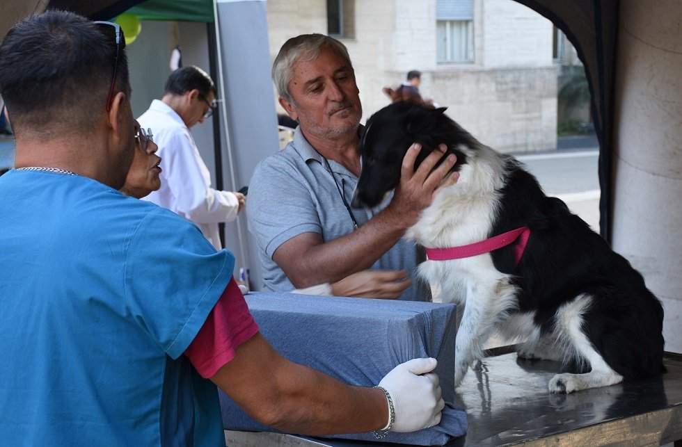 El programa de esterilizaciones atenderá en el Barrio San Martín