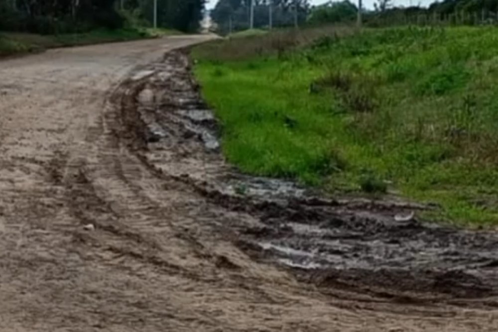 Finalmente se suspendió una vez más la peregrinación a Federación