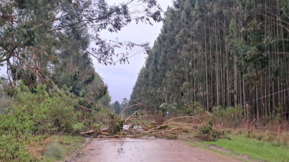 Tormenta: daños en el sistema de distribución eléctrica