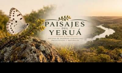 Puerto Yeruá impulsa un proyecto para crear una nueva área natural protegida