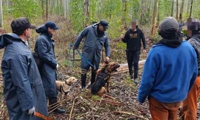 Canes localizaron en buen estado de salud a un hombre que era buscado en zona rural