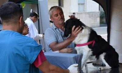 El programa de esterilizaciones atenderá en el Barrio San Martín
