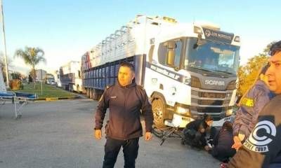 Una ciclista fue derivada a Concordia tras ser embestida por un camión