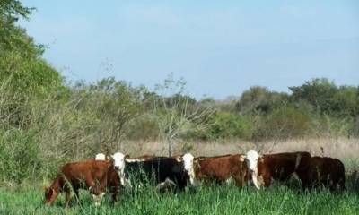 El Gobierno de Entre Ríos recuperó 124.000 hectáreas de tierras fiscales y generó nuevos ingresos para la provincia