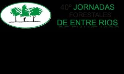 Las 40° Jornadas Forestales de Entre Ríos 2026, se realizará el 24 y 25 de Septiembre en INTA Concordia