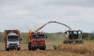 La provincia puso en vigencia el nuevo régimen ambiental para la actividad productiva de Entre Ríos