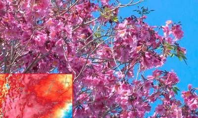 Semana de la primavera con rápidos cambios de temperatura en Entre Ríos: martes frío y luego, fuerte ascenso térmico