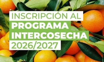 Se abre la inscripción al Programa Intercosecha 2026/2027