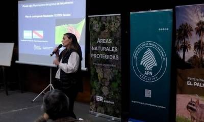 Entre Ríos fortalece la articulación para el control del picudo rojo de las palmeras