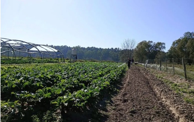 Productores entrerrianos pidieron medidas urgentes ante el avance del delito rural