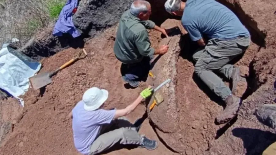 El Gobierno autorizó excavaciones arqueológicas en varios puntos de Entre Ríos
