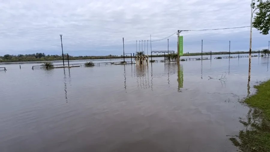 Río Uruguay: siete ciudades bajo alerta, otra en nivel de evacuación y cerca de 12 metros en Concordia