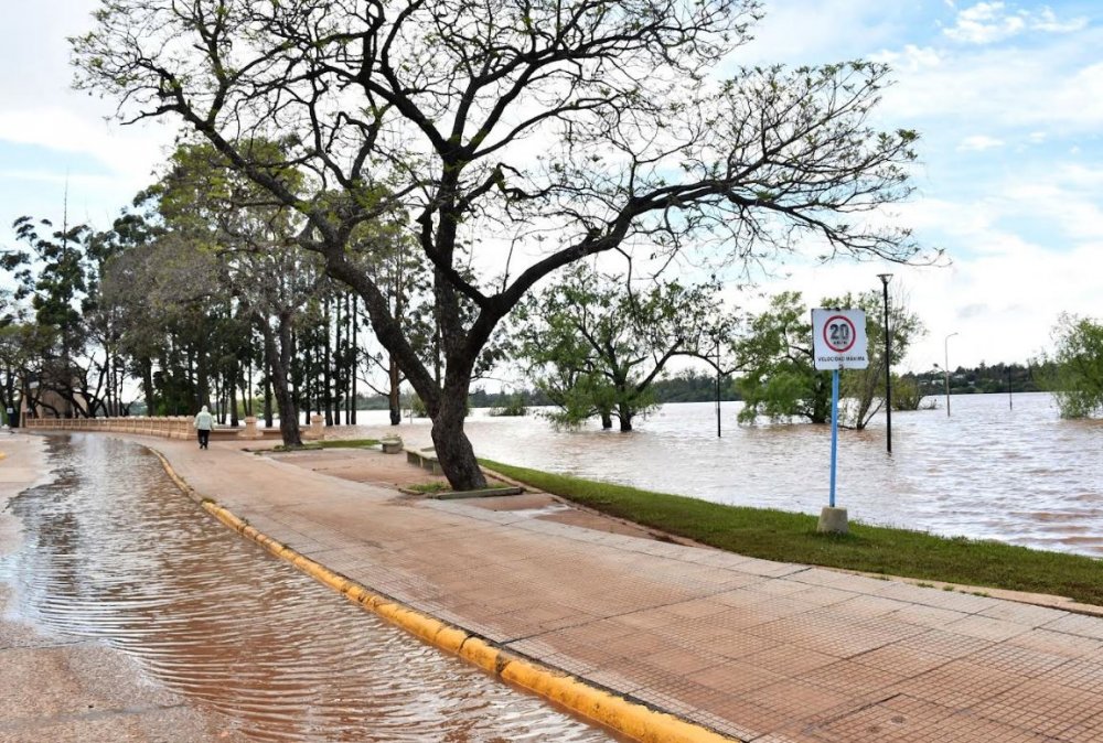 Altura del río Uruguay frente al puerto de Concordia
