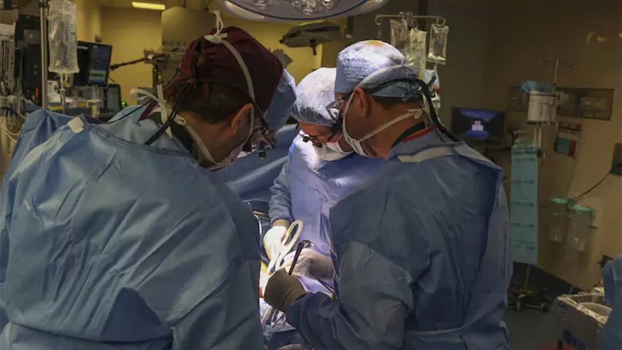 Trasplante renal: el Incucai cambió las reglas para reducir los tiempos y facilitar el acceso a órganos