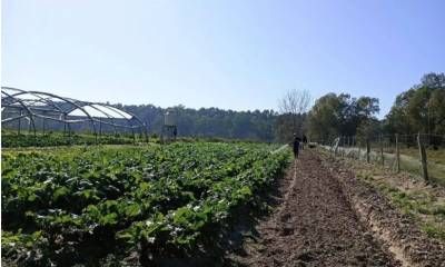 Productores entrerrianos pidieron medidas urgentes ante el avance del delito rural
