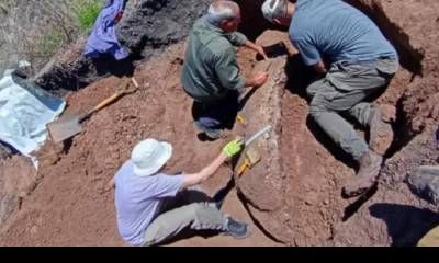 El Gobierno autorizó excavaciones arqueológicas en varios puntos de Entre Ríos