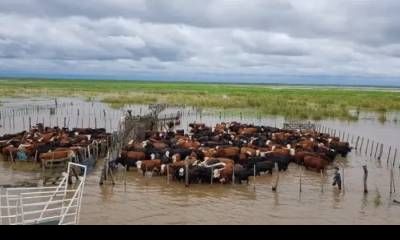 La OMM advirtió que El Niño alcanzará su punto máximo en diciembre