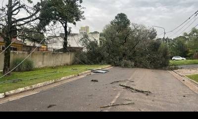 Tras la tormenta, la municipalidad interviene en distintos sectores de la ciudad