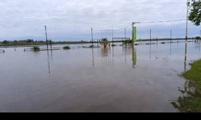 Río Uruguay: siete ciudades bajo alerta, otra en nivel de evacuación y cerca de 12 metros en Concordia