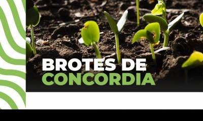 Impulso a la producción local: la Municipalidad abre la convocatoria para “Brotes de Concordia”